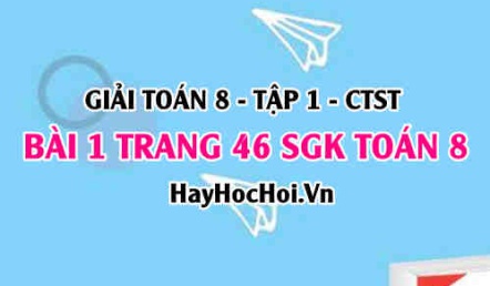 Giải bài 1 trang 46 Toán 8 Tập 1 SGK Chân trời sáng tạo